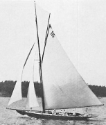 Svenska Kitty 10m